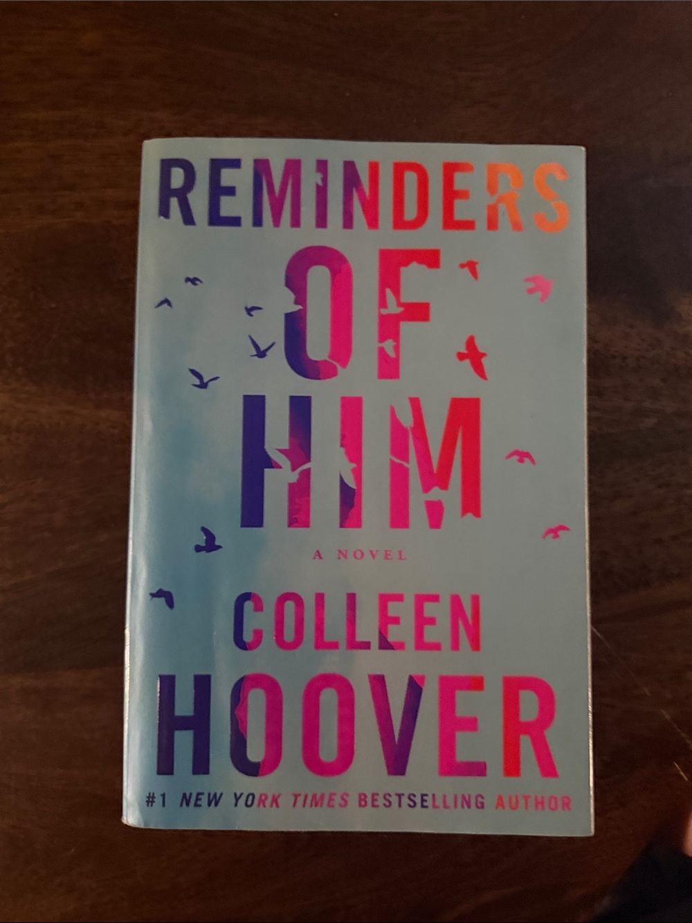 Reminders of Him - Blue and Pink Hardcover Novel